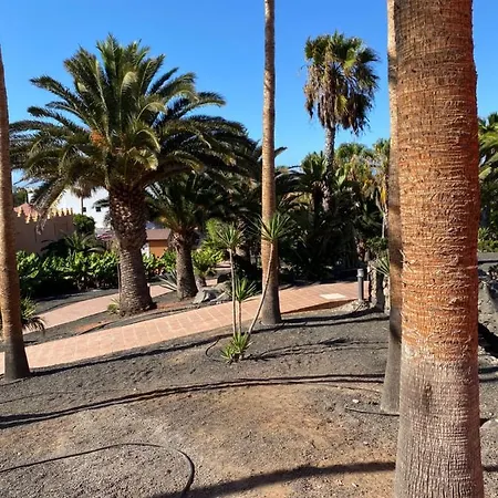 Apartamento Oasis Royal Home *